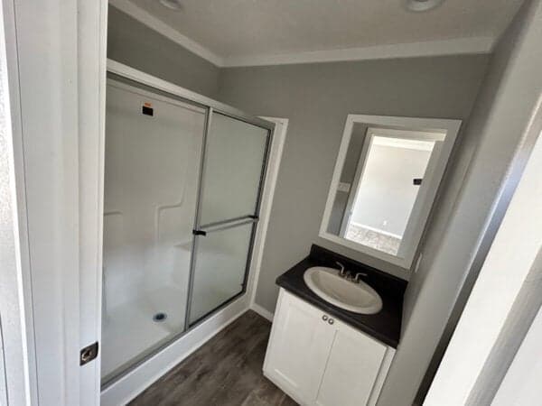 The graceland  bathroom home features